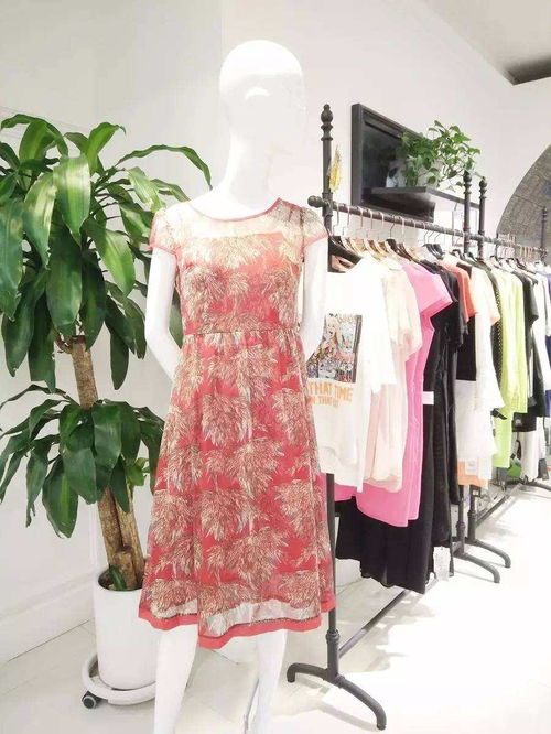 慧蘭女裝 優(yōu)雅風(fēng)尚，演繹東方女性的獨(dú)特魅力